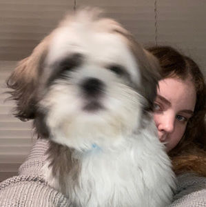 Meet your Posher, Lacy